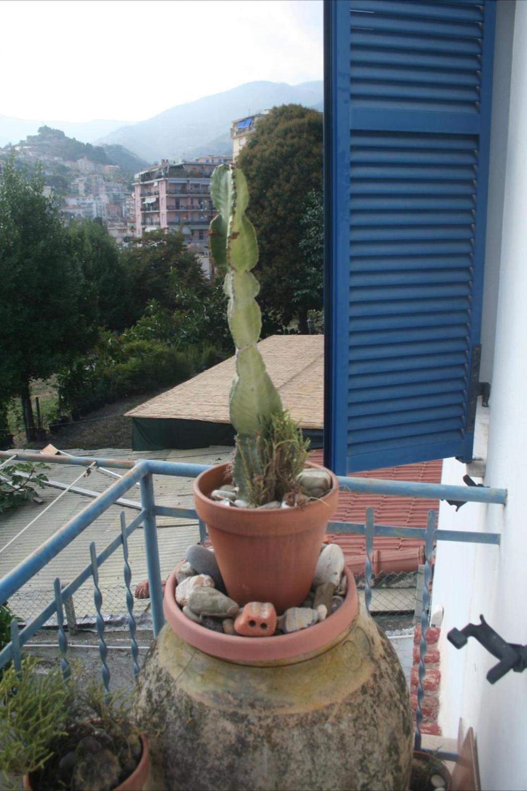 圣雷默La Casa Di Flora公寓 外观 照片